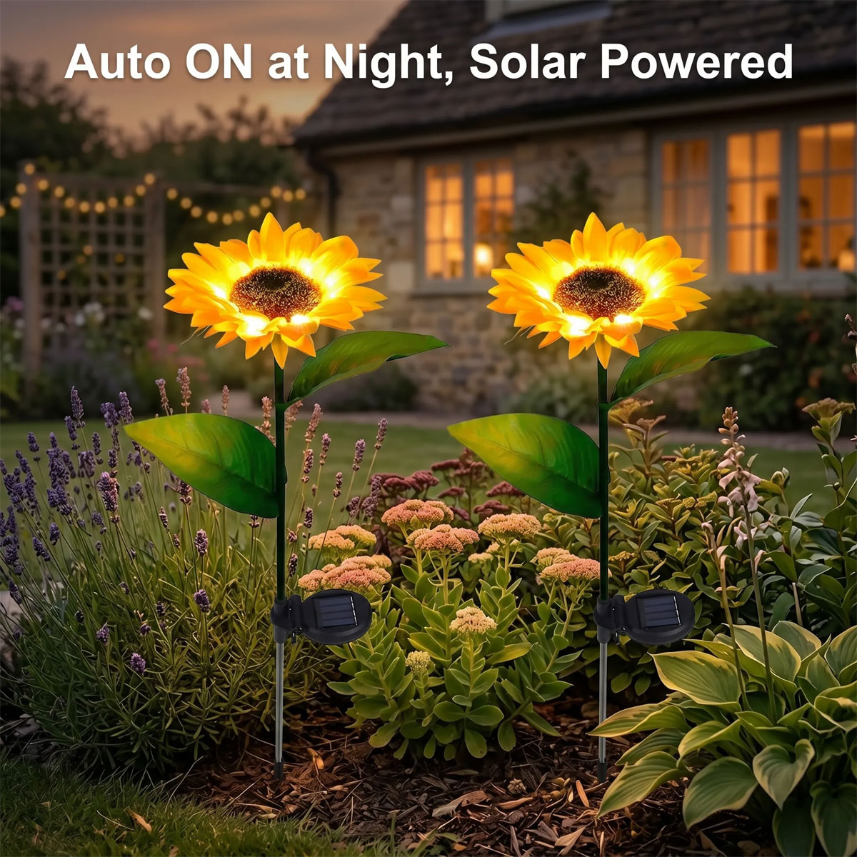 Sunflower light component guide showing 75cm height and solar panel