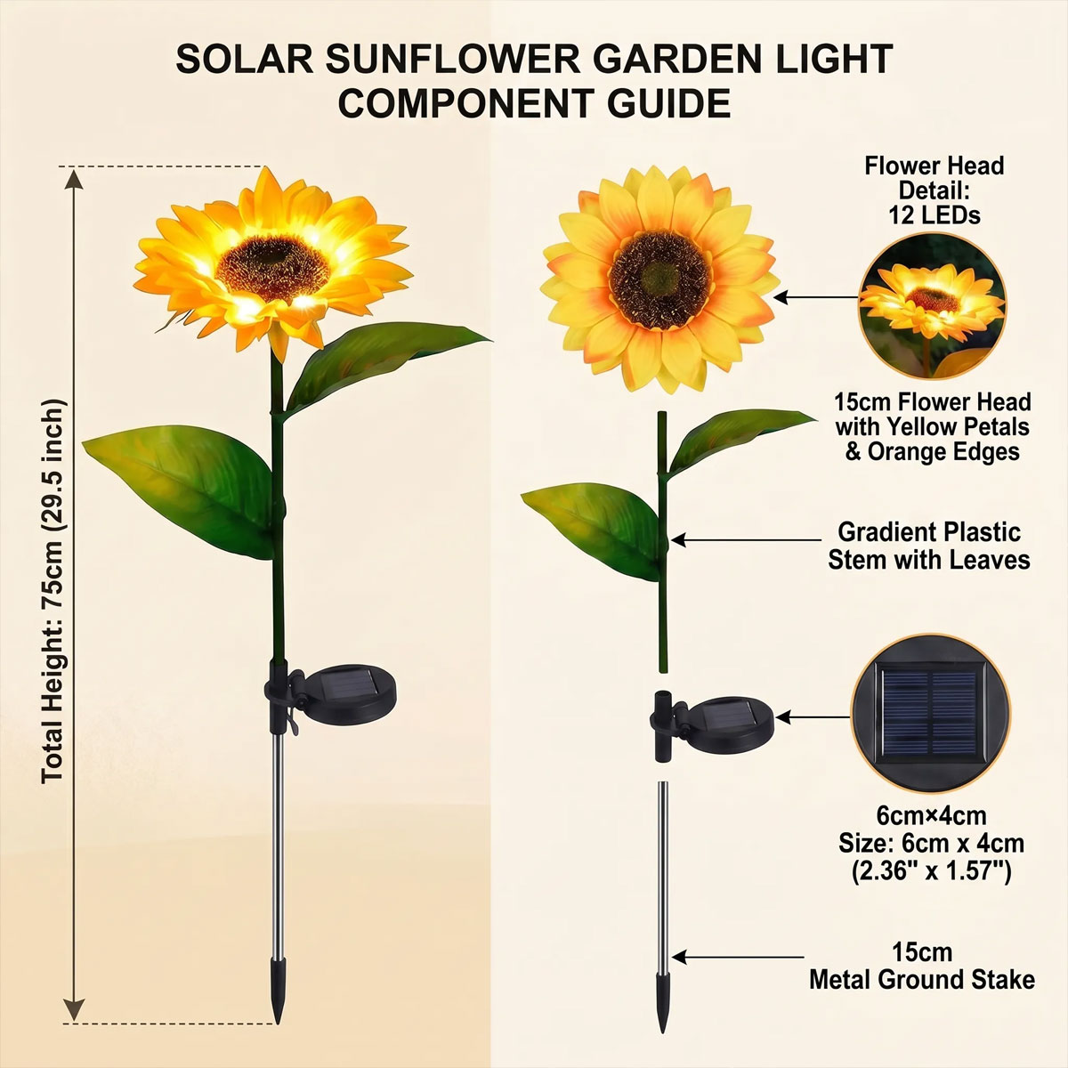 Daytime garden decor and nighttime glow