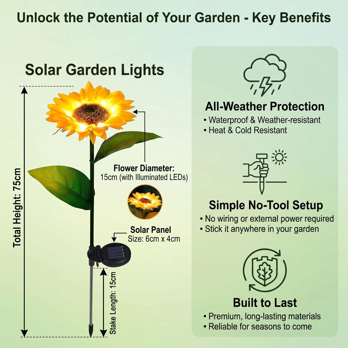 Competitive comparison of ultra-bright sunflower stake
